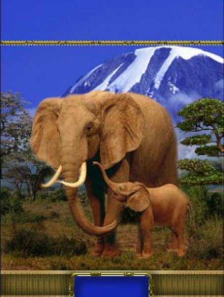 Саванна (Protsenko)