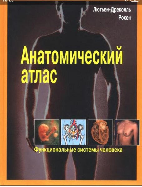 Лютьен-Дреколль Э., Рохен Й. - Анатомический атлас. Функцион