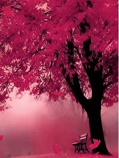 Розовая осень (here again)