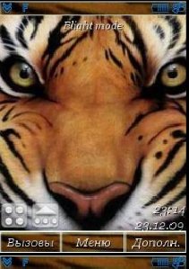 My Tiger