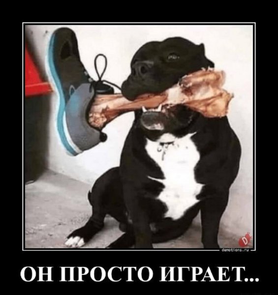 Он просто играет...