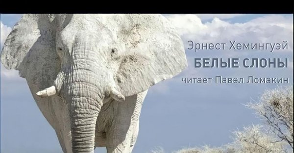 01. Хемингуэй Эрнест - Белые слоны