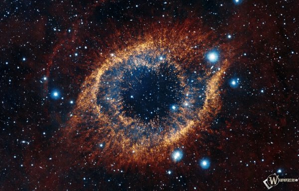 Созвездие-Водолея