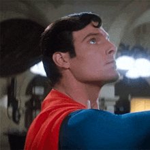 What-did-you-say-superman