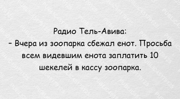 Сбежал енот