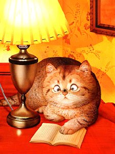 КОТИК С КНИЖКОЙ