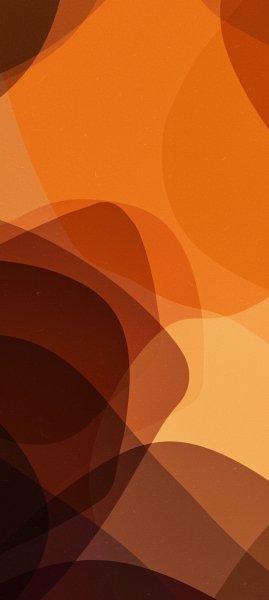 adapted 1080x2408 1772678978