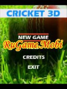 Cricket 3D