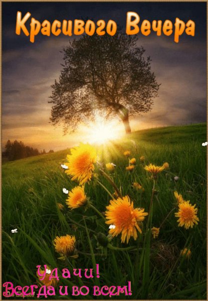 file_75157231