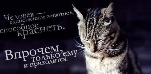 Человек
