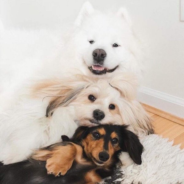 6LEWSXEDCRFVTGGB8WHCA