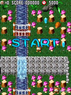 3D Bomberman 2009 176x208