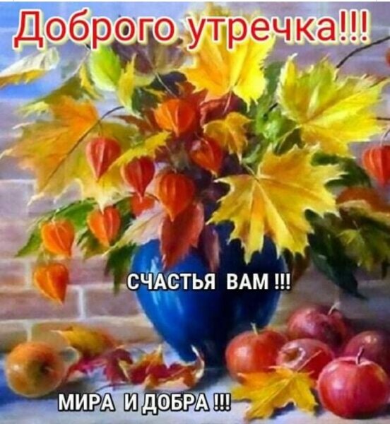 IMG 20190929 053059
