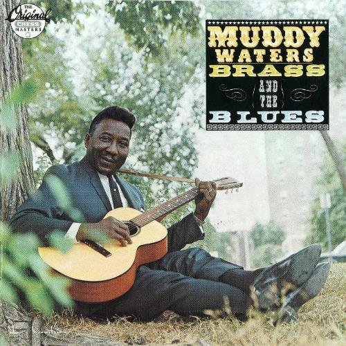 Muddy Waters - Trouble In Mind