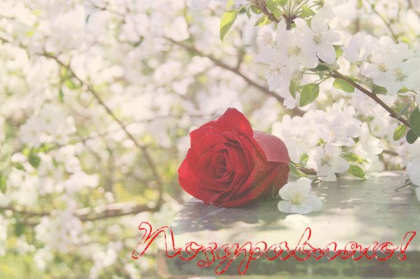 0 140901 a05665a1 XXL