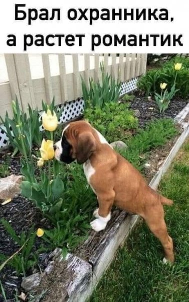 FB IMG 1774593638316