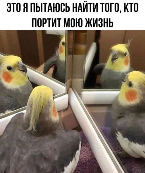 Довольно страшная и невообразимо печальная ситуация