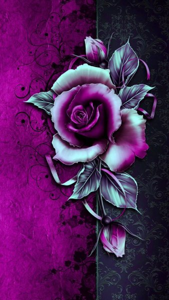 F443c8c5f