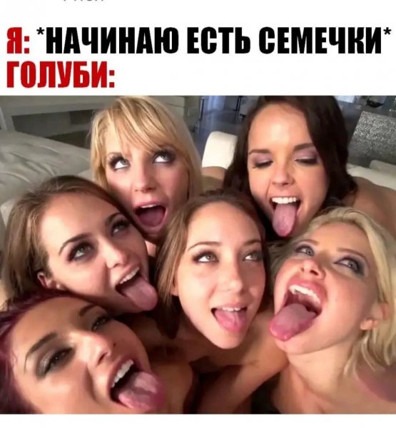 FB IMG 1762770338216