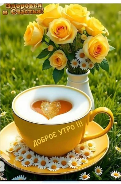 -5260634497609760016 121