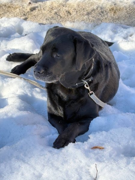 KWETYUUYREWWTYYOLJMM