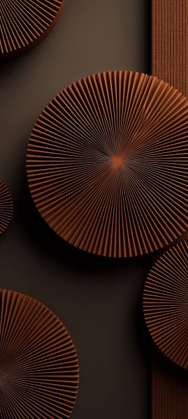 adapted 1080x2408 1774594277