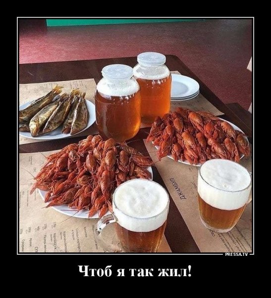 ЧТОБ Я ТАК ЖИЛ!!!