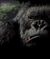 КИНГ КОНГ