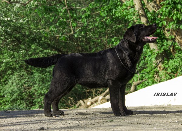 4OJNYGFGHCDGCGDF7TOYY