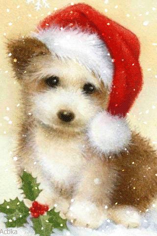 file_76465725
