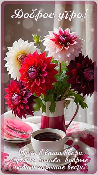 IMG-20c05abf8e7dece8d9bd2d4d8d87afa6-V