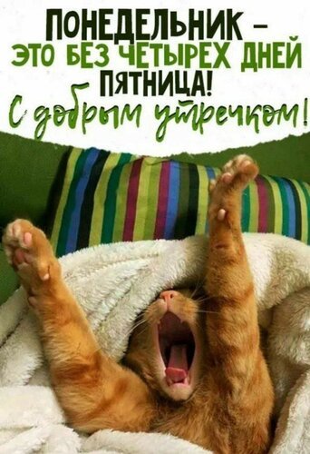 Открытка понедельник с добрым утром