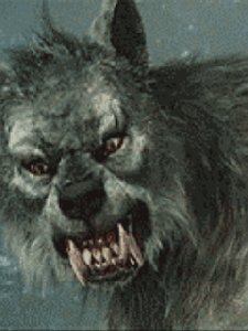 Animated Werewolf
