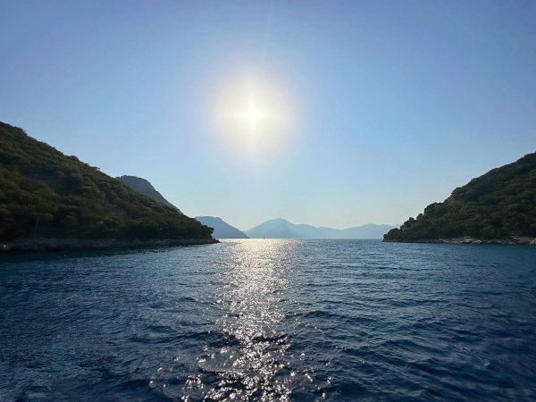 file_94423387