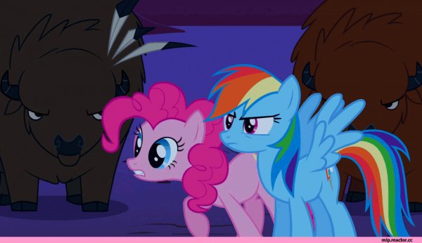 mlp-gif-my-little-pony-фэндомы-Pinkie-Pie-877429