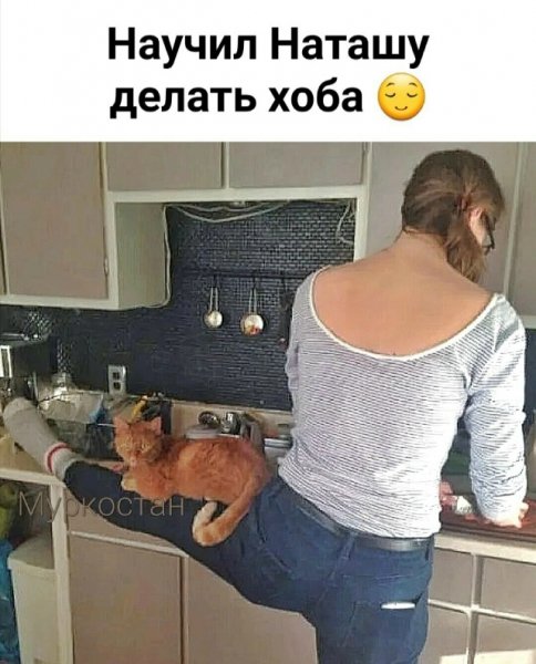 file_102311430