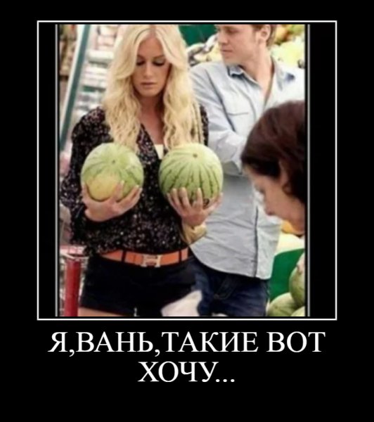 Я,ВАНЬ,ТАКИЕ ВОТ ХОЧУ...