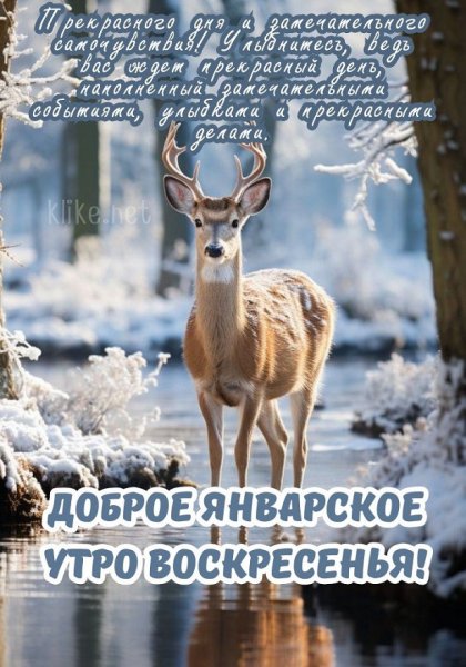 ..Доброго январского воскресного утра.