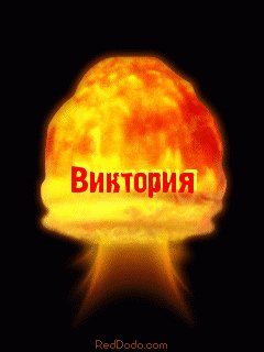 file_80806709