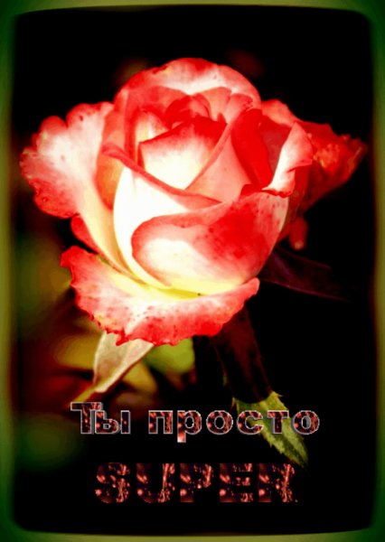 ТС КР