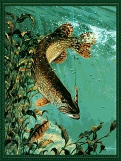 FishingOfTheKuban