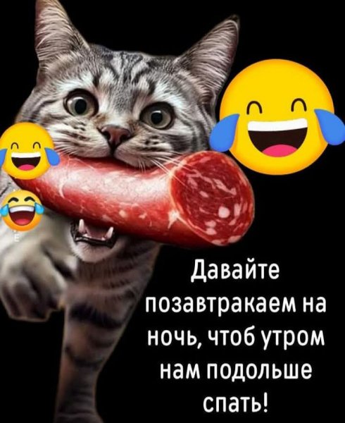 FB IMG 1775981782490