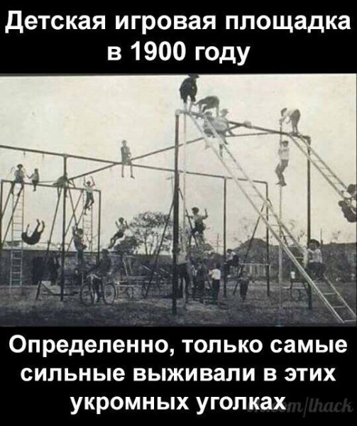 kekfeed 5cfb602d08d7d44637437a3b