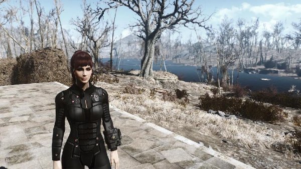 Nanosuit