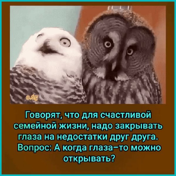 file_81680307