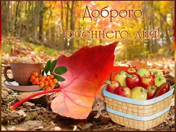 Dobrogo osennego dnya