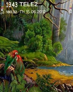Nature Birds