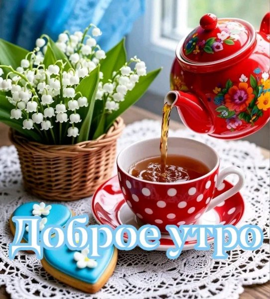 IMG 20260522 171947