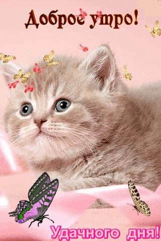 file_93446865