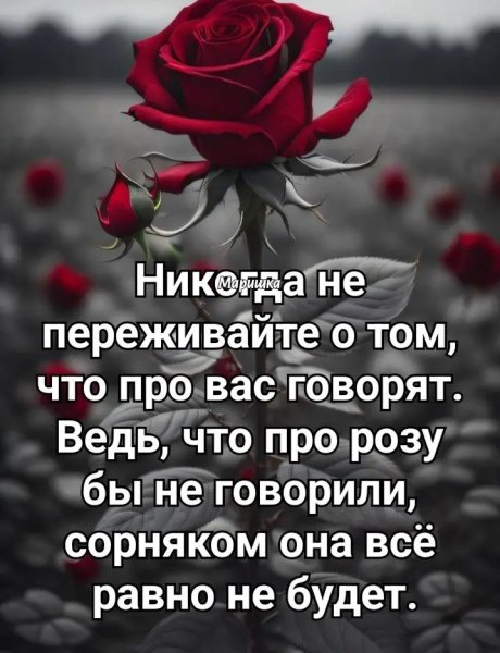 file_100843107